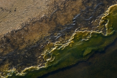 Yellowstone Abstract