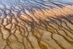 Yellowstone Abstract